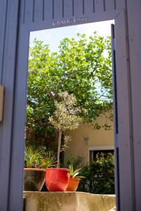 Galeriebild der Unterkunft L'amigeste in Pouzols-Minervois