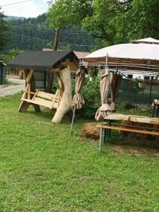 una mesa de picnic y una sombrilla en el césped en Complex de Pensiuni si Casute la Munte- Casa ,,Dor de Munte,,, en Bistricioara