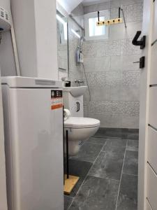 a small bathroom with a toilet and a sink at Concordia - apartament lângã Cazino in Băile Herculane