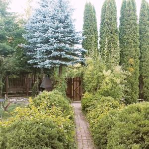 Afbeelding uit fotogalerij van Domek letniskowy Ali in Przejma Wielka