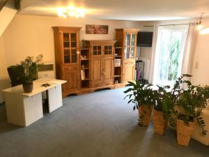 een kamer met een keuken met houten kasten en potplanten bij Schöne Gartenwohnung im Seenland in Wackersdorf