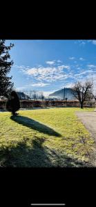 ein Schatten eines Baumes auf einem Grasfeld in der Unterkunft Appartement en Rez-de-jardin in Autrans
