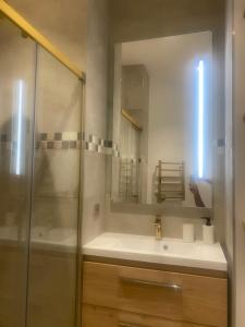 a bathroom with a sink and a shower at 2 pièces Cozy in Nice +14 photos