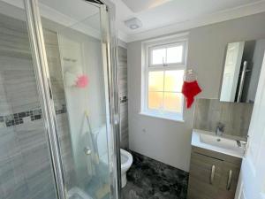 a bathroom with a shower and a toilet and a sink at Lilleshall Rooms in Mitcham
