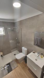 a bathroom with a toilet and a shower and a sink at LA CASA DEL ALMÁCIGO in Arona