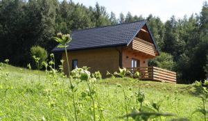 Cabaña de madera pequeña en una colina con césped en Domki w Bartnicy - Góry Sowie en Ludwikowice Kłodzkie