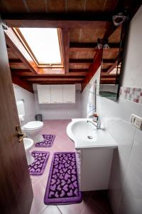 a bathroom with a sink and a toilet and purple mats at Casa de Vacanță S&B in Braşov