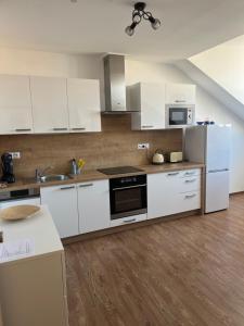 Kuchyňa alebo kuchynka v ubytovaní Aviatik apartments