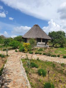a small hut with a grass roof on a field at Masai Mara Explore Camp in Narok