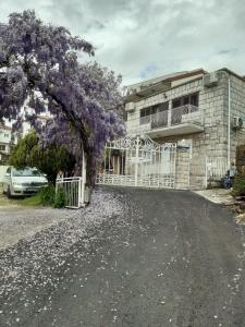 ein Gebäude mit einem lila blühenden Baum vor einer Einfahrt in der Unterkunft Apartman Dardic in Herceg-Novi