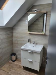 ein Bad mit einem Waschbecken und einem Spiegel in der Unterkunft ECO RIBELLIUM in Gánt