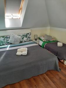sypialnia z 2 łóżkami i oknem w obiekcie Pokoje w Awokado z pięknymi widokami, Bałtów 184C w Bałtowie