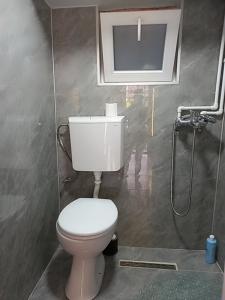 a bathroom with a toilet and a shower at Vila Nikola 