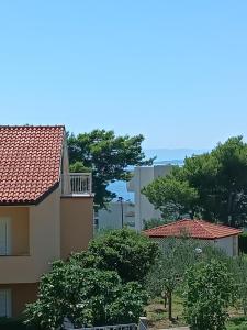 Φυσικό τοπίο κοντά σε αυτό το διαμέρισμα