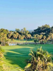 a golf course with palm trees and a green at Casa de 3 plantas, con jardín y vistas al golf in Benalmádena