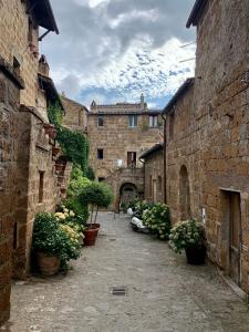 an alley in an old stone building with potted plants at Civita Secret Lodge in Lubriano