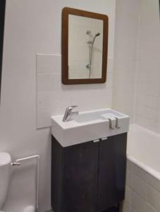 uma casa de banho com um lavatório, um WC e um espelho. em L'Escapade Appartement T1 douillet tout confort em Roanne