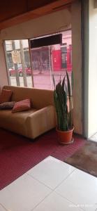 un salon avec un canapé et une plante en pot dans l'établissement Hotel ESER, à San Pedro