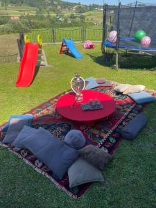 - une table de pique-nique sur une couverture sur l'herbe et une aire de jeux dans l'établissement Villa De Luxe, à Bihać