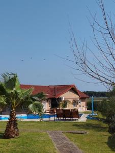 a house with a palm tree next to a pool at Cabañas de Ayui in Concordia