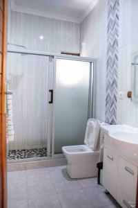 a bathroom with a shower and a toilet and a sink at Ponta d’ ouro lia’s house in Ponta do Ouro