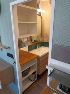 uma pequena casa de banho com um lavatório e um espelho em Appartement, place Morny. em Deauville