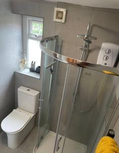 ein Bad mit einer Dusche und einem WC in der Unterkunft Netherton Studio Apartment 2 in Llandrillo-yn-Rhôs