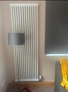a radiator in a room with a lamp and a tv at Netherton Studio Apartment 2 in Llandrillo-yn-Rhôs