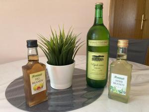 Napoje w obiekcie Apartman Turanj