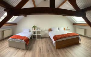 2 letti in una camera mansardata con lucernari di Lodge Vent d’Ouest a Gembloux