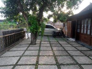 a tree and a car parked next to a house at Cahaya Losmen Sragen Syariah in Sragen