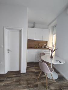 Kuchyň nebo kuchyňský kout v ubytování Studio apartman Mara