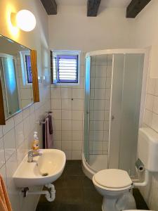 uma casa de banho com um WC, um lavatório e um chuveiro em La Casa di Nonno em Belej