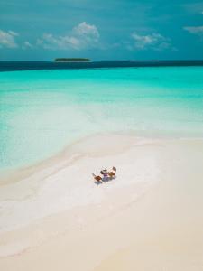 a couple sitting on a beach in the ocean at Dhoani Maldives Guesthouse in Kendhoo