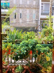 Blick auf einen Garten mit Pflanzen vor dem Fenster in der Unterkunft Home Tea An Yên 3 in Ho-Chi-Minh-Stadt