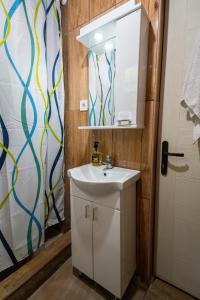 łazienka z umywalką, lustrem i drzwiami w obiekcie Country Villa MMMM w mieście Mojkovac