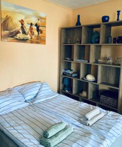 1 dormitorio con cama y estante para libros en Studio tipa dzīvoklis, en Tukums