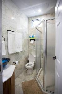 a bathroom with a toilet and a glass shower at Mary's Hill Tropical Oasis in Maryʼs Hill