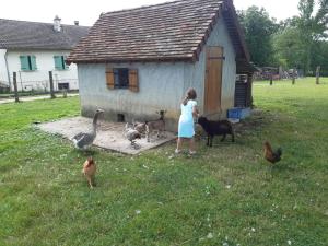 Budova, kde se prázdninový dům nachází