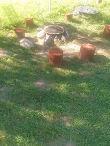 eine Gruppe von Stämmen und ein Tisch im Gras in der Unterkunft Casa Bulz in Bulz