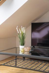 TV a/nebo společenská místnost v ubytování FREE PARKING- Cozy apartment in historical building center Prague