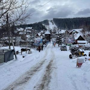 - un village enneigé avec des personnes marchant sur une route enneigée dans l'établissement Шаленарозі, à Myhove