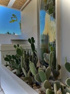 Gallery image of Ippolita Palace in Otranto