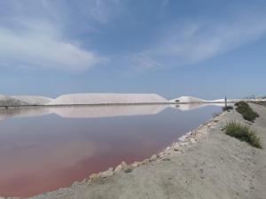 uma massa de água com uma ponte ao fundo em Cabane CASSIOPEE Aigues- Mortes em Aigues-Mortes