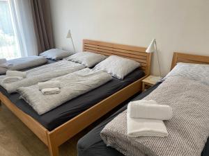 Łóżko lub łóżka w pokoju w obiekcie Apartmány Mikulčice