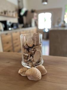 een glazen vaas gevuld met schelpen op een tafel bij Le Paillé de Torreilles in Torreilles
