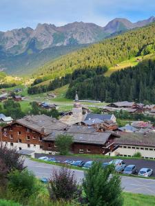 an aerial view of a town with mountains in the background at La petite Anfiane in Le Grand-Bornand