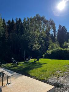 Foto dalla galleria di Cazare Luxandra a Borşa