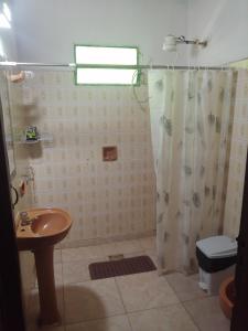 a bathroom with a shower and a toilet and a sink at casa con piscina, alojamiento hasta 12 personas in Asuncion