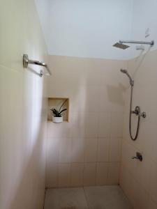 ein Badezimmer mit einer Dusche mit Topfpflanze in der Unterkunft The Villa Hush in Hikkaduwa